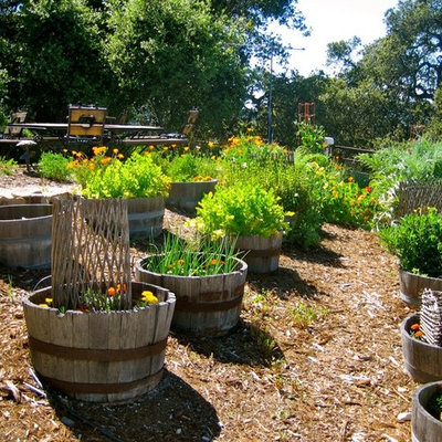 Design ideas for a rustic backyard mulch landscaping in San Luis Obispo.