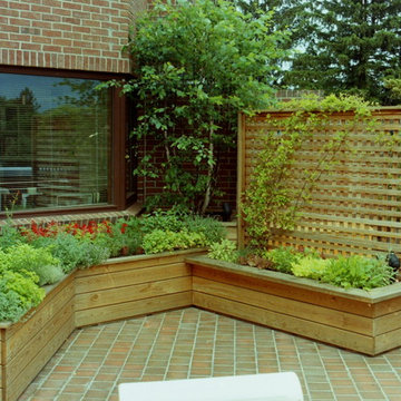 Vegetable & Herb Garden on Condo Terrace