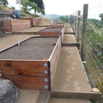 Vegetable boxes on hill side
