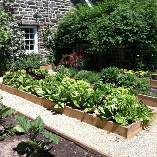 This is an example of a traditional vegetable garden landscape in Philadelphia.