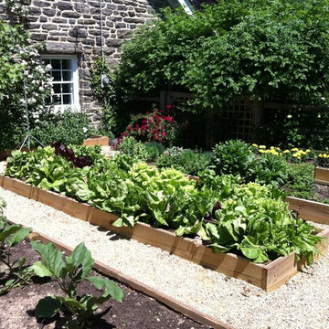 Vegetable Garden
