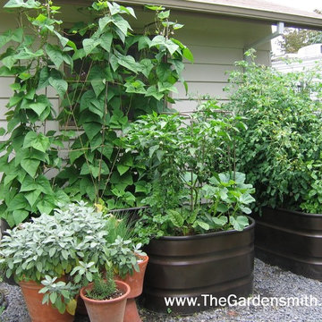 Vegetable Garden in Containers