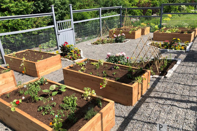 Photo of a backyard vegetable garden landscape in New York for summer.