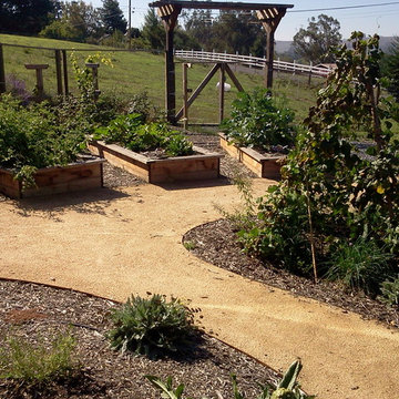 Vegetable garden - Petaluma