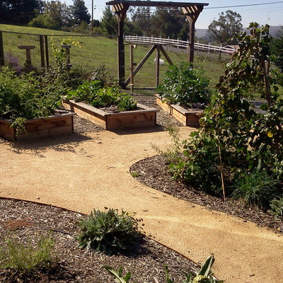 This is an example of a mid-sized rustic full sun backyard gravel landscaping in San Francisco for summer.
