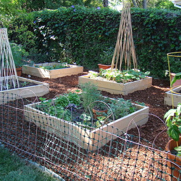 Vegetable Gardens