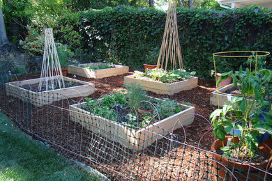 Idées déco pour un jardin potager arrière classique de taille moyenne et l'été avec une exposition partiellement ombragée et un paillis.