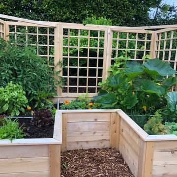 Vegetable Gardens