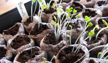 Your Essential Seed-Starting Glossary