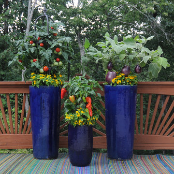 Vegetables & Herbs in Containers