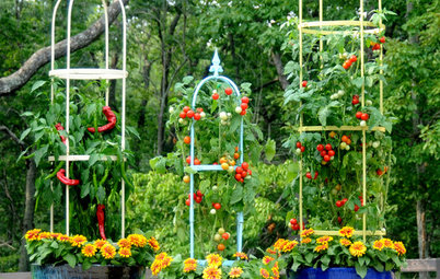 10 Container Gardens That Mix Edible and Ornamental Plants