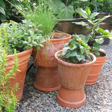 Vegetables in Terra Cotta Pots