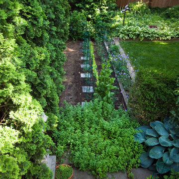 Vegitable Garden at Suburban Oasis