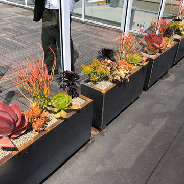 Veradek Cor-ten succulent roof garden planters