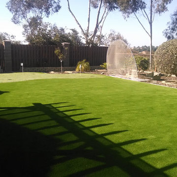 Verdant Residential Artificial Turf [San Diego, CA]