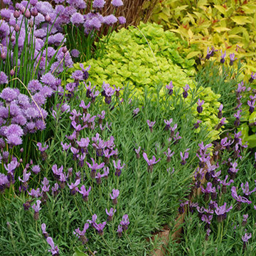 Vermont Herb Gardens