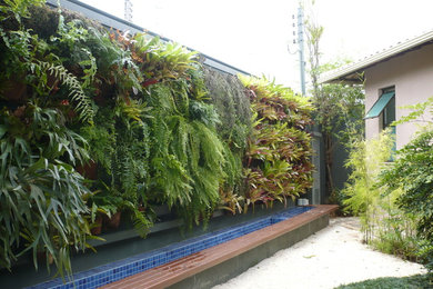 Immagine di un giardino tropicale esposto a mezz'ombra nel cortile laterale