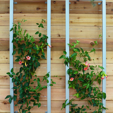 Vertical garden with Ina Wall Trellis by Terra Trellis