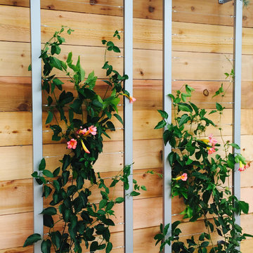 vertical garden with Ina Wall Trellis by Terra Trellis
