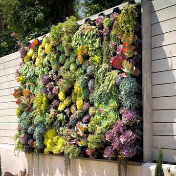 Vertical Green Wall