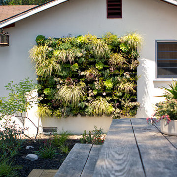 Vertical Wall Art- Back Yard