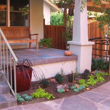 Very drought-tolerant, low maintenance, and year-round beautiful garden