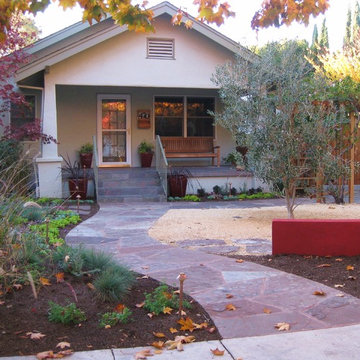 Very drought-tolerant, low maintenance, and year-round beautiful garden