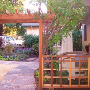 Very drought-tolerant, low maintenance, and year-round beautiful garden