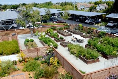 Aménagement d'un jardin moderne.