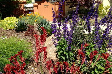 Идея дизайна: маленький солнечный, летний засухоустойчивый сад на переднем дворе в стиле фьюжн с садовой дорожкой или калиткой, хорошей освещенностью и мульчированием для на участке и в саду
