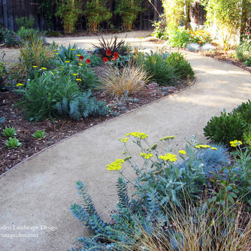 Vibrant Plant Colors and Textures In Fairfax, CA With Decomposed Granite Pathway