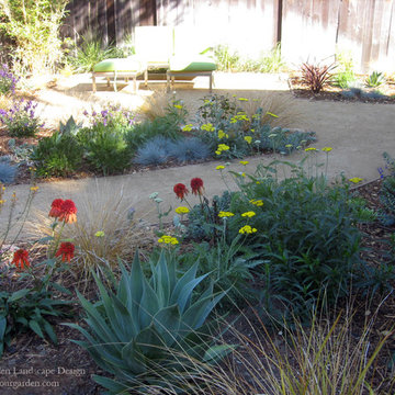 Vibrant Plant Colors and Textures With DG  In Fairfax, CA Garden
