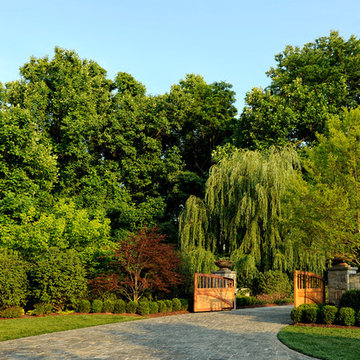 Vibrant Surroundings