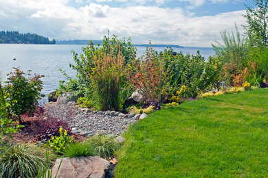 Vibrant waterfront plantings on Lake Washington