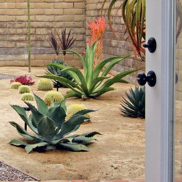 View of Xeriscape Garden