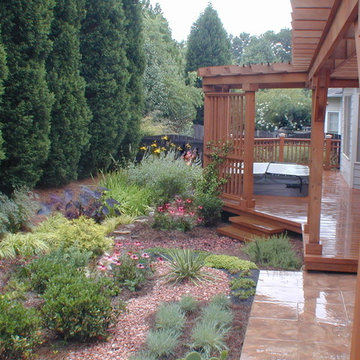 View past patio to spa area. Butterfly garden in raingarden outside of spa