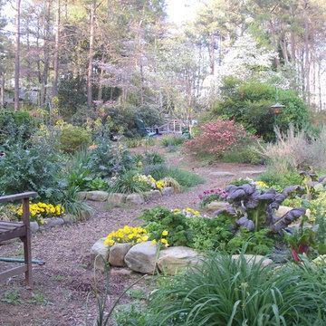 View past veggie garden to other side of front yard landscape