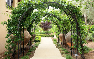 What to Know About Adding a Garden Arbor