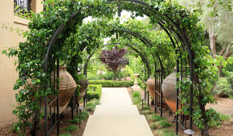 What to Know About Adding a Garden Arbor