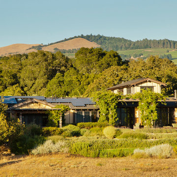Vineyard Garden Home, Glen Ellen, California