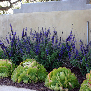 Immagine di un piccolo giardino xeriscape contemporaneo in ombra dietro casa con ghiaia