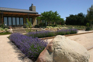 Photo of a large contemporary drought-tolerant backyard retaining wall landscape in Santa Barbara.