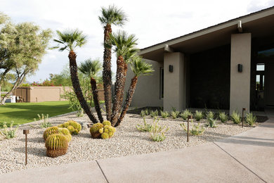 Inspiration for a mid-century modern landscaping in Phoenix.
