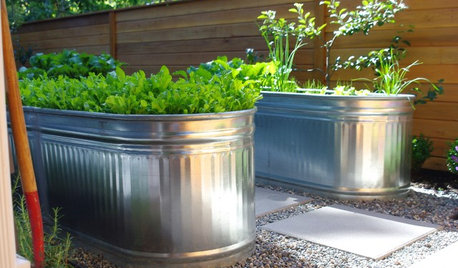 How to Turn a Stock Tank Into a Planter for Edibles and More