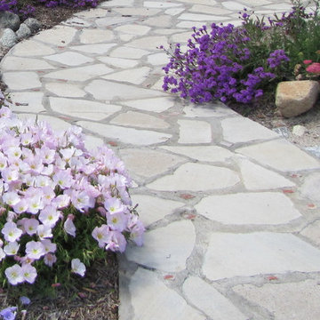 Walk Way of Recycled Concrete w/ Brick accents