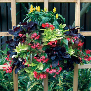 Wall Planters & Trellises