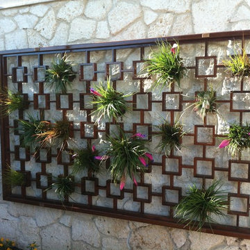 Wall Plants