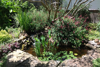 Modelo de jardín minimalista en patio trasero con estanque y exposición parcial al sol