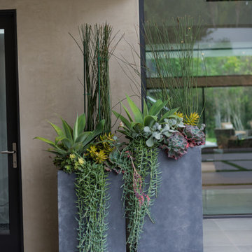 Wallace Ridge Beverly Hills modern luxury home garden planters