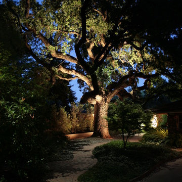 Walled Sacramento escape